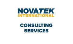 Novatek - Consulting Services