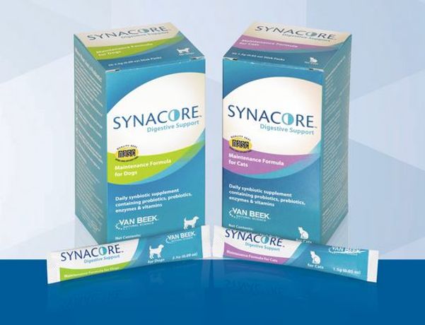 Synacore - Uniquely Formulated Digestive Support Supplement