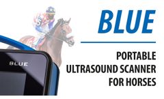 DRAMIŃSKI BLUE. The state-of-the-art portable ultrasound scanner for horse diagnosing. - Video