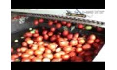G 89/93 DS 32 `tomato picker Tomatenvollernter Video