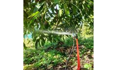 Irrigation Systems Used on Avocados