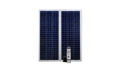 Advanced Power Inc. (API) - Model KS07 950 GPD (K170R2) - Double Panel Solar Pump Systems