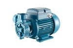 Model CP - Peripheral Positive Displacement Pump