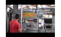 Pneumatic Cattle Weighing Crush with Electronic Identification Video
