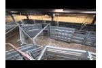 Fixed Cattle Handling Video
