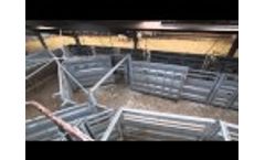 Fixed Cattle Handling Video