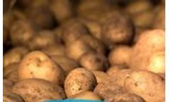 Total Solutions for Potato Storage