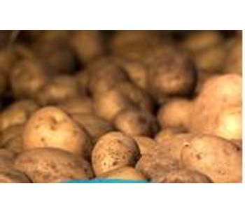 Total Solutions for Potato Storage - Agriculture