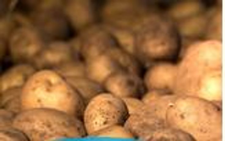 Total Solutions for Potato Storage - Agriculture