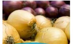 Complete Solutions for Onion Storage