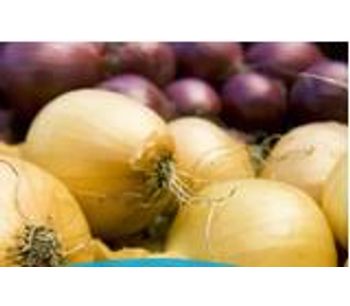 Complete Solutions for Onion Storage - Agriculture