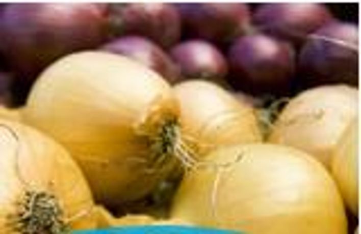 Complete Solutions for Onion Storage - Agriculture