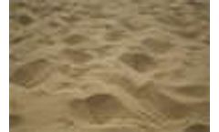 Beach sand often more contaminated than water