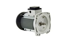 Model MTR-BLM-SF-153J-120 - Brushless Surface Motor