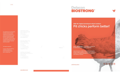 BIOSTRONG - Model 510 - Natural Boost Phytogenic - Brochure