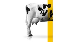 Delacon Actifor Power - Phytogenic Feed Additives for Dairy Cows and Beef Cattle