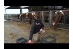 Diet Sieving for Ruminants by NWF Agriculture - Video