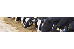 Promega - Model P 4400 - Dairy Feed Substitutes