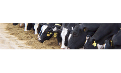 Promega - Model P 4400 - Dairy Feed Substitutes
