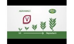 Monty`s Agrihance-V (RFD-TV) Video