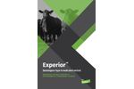 Experior - Lubabegron- Brochure