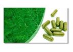 Moringa Oleifera Leaf Powder & Capsules