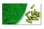 Moringa Oleifera Leaf Powder & Capsules