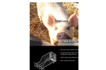 Model Jumb-O-Fine - Mating Box for Weaned and Gestating Sows - Brochure