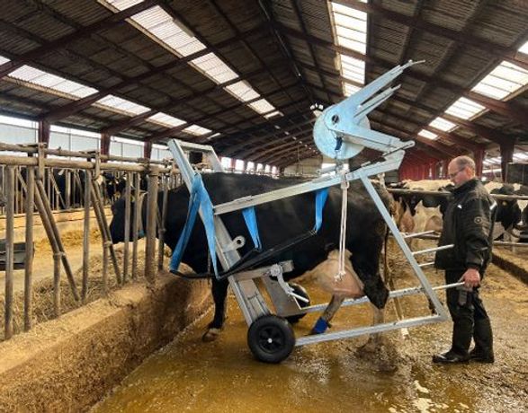 Bovi Hoof Acute Hoof Trimming Box
