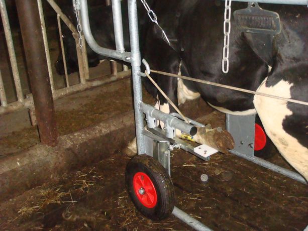 The Hoof Care Box - A mobile box for acute hoof problems-3