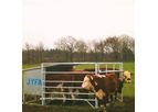 JYFA - Model 7000 - Calf Box for Concentrated Feed