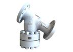 ACME - Model Y Type - Flanged/Buttweld for Strainers Derive