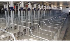 Vissing - Sow Mating Stall
