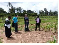 Figure 3 Colleagues discussing an experimental site near Domboshava, Zimbabwe.