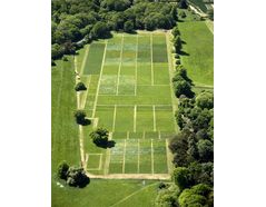 Figure 1. The Park Grass Experiment at Rothamsted Research