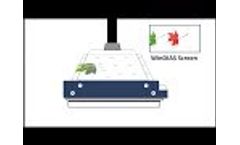 Delta-T Devices WinDIAS Leaf Image Analysis Video (Leaf Area Meter)