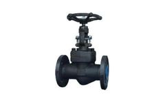 Class - Model 150 to 600 - Forged Steel Globe Valve