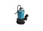 Pompes Japy - Model PE-A2 and PE-A3 - Portable Single-Phase Drainage Pumps