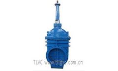 TLVC - Model BS5163 - Double Flange Metal-Seated Rising Gate Valve