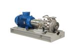 Model API 610 OH1 B Series - Oil & Gas Process Pump