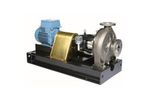 Amarinth - Model ISO 5199 : 2000 C Series - Chemical Process Pump