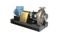 Amarinth - Model ISO 5199 : 2000 C Series - Chemical Process Pump