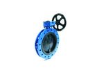 Model B - Flanged Rubber Seats Butterfly Valves