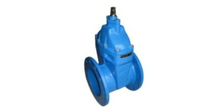 Model BS,DN40-DN300 - Resilient Seated Gate Valve