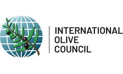 The IOC hosts a Refresher Course on Olive Oil Standards