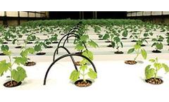 Saveer - Hydroponic System and Kits