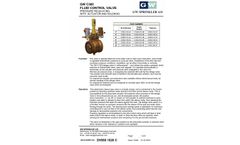 GW C300 Fluid Control Valve Pressure Regulating With Actuator and Solenoid - Brochure