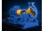 Andritz - Model ACP Series - End Suction Pumps- Single-Stage Centrifugal Pumps