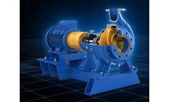 Andritz - Model ACP Series - End Suction Pumps- Single-Stage Centrifugal Pumps