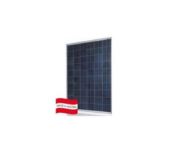 Sun Value - Model SV – 230 / 235 / 240 / 245 / 250 PI-T - High-Performance Photovoltaic Modules